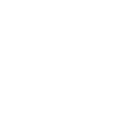 Expertise Portuária  Anos de experiência em movimentações dentro e fora do porto. Cuidamos de cada detalhe logístico com precisão técnica.